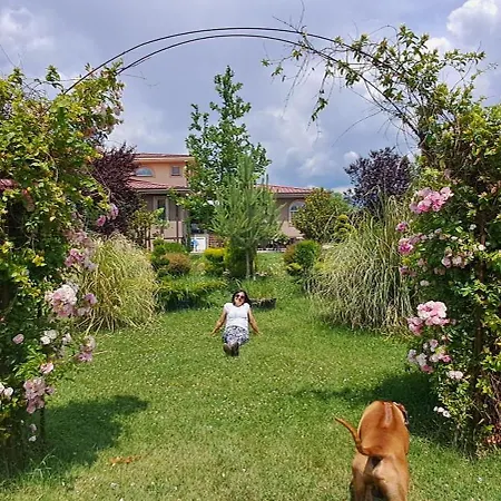 Villa Rodna *